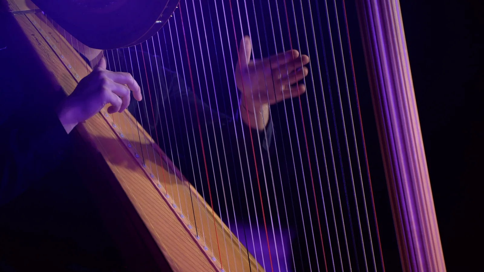 Fingers plucking the lower strings in close-up.
